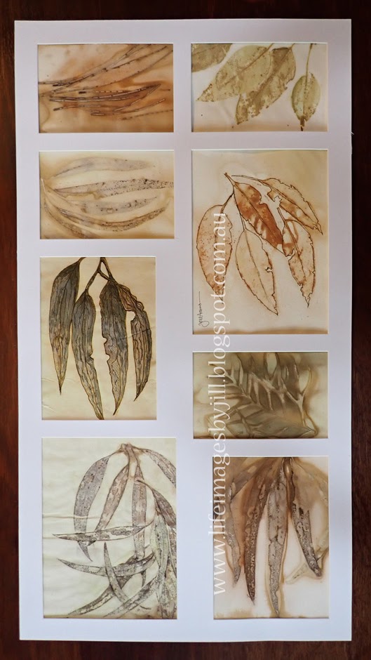 Life Images by Jill The art of botanical ecoprinting on paper