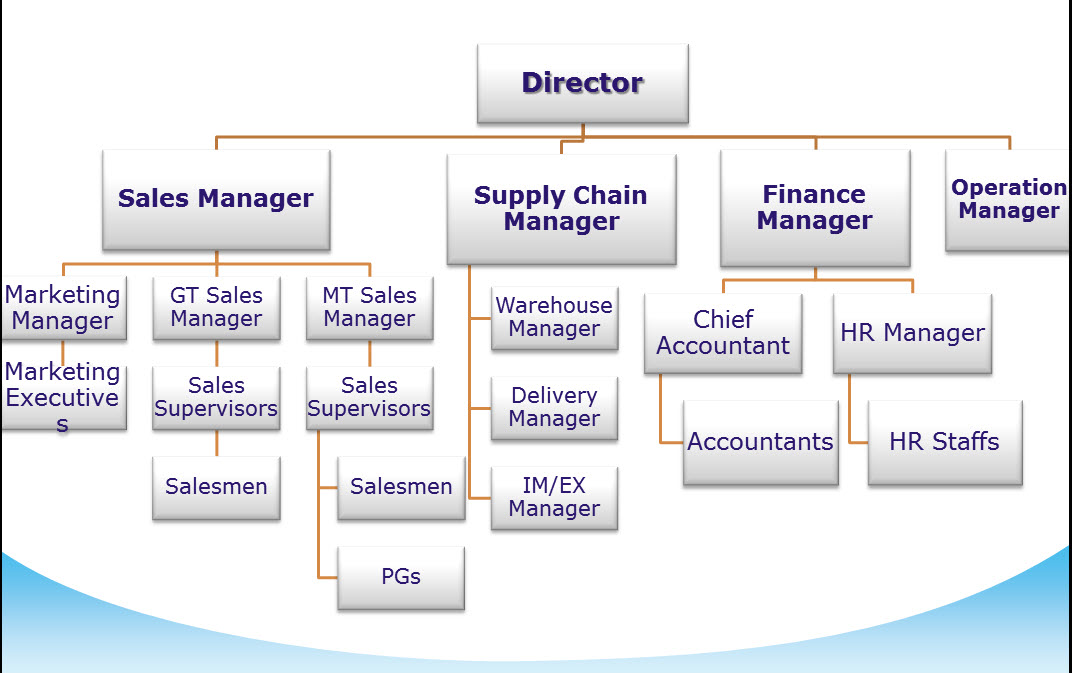 Kinds of departments. Organizational Chart of the Company. Структура компании. Организационная структура на английском. Структура Компани.