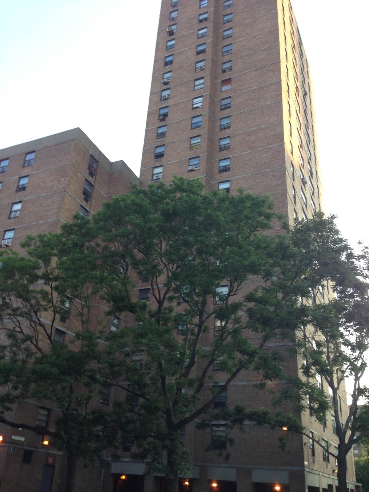 EV Grieve 52 new security cameras arrive at Campos Plaza