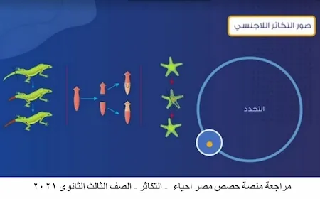 مراجعة منصة حصص مصر احياء - التكاثر - الصف الثالث الثانوى 2021