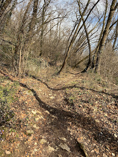 One of the many trails up to Maresana.