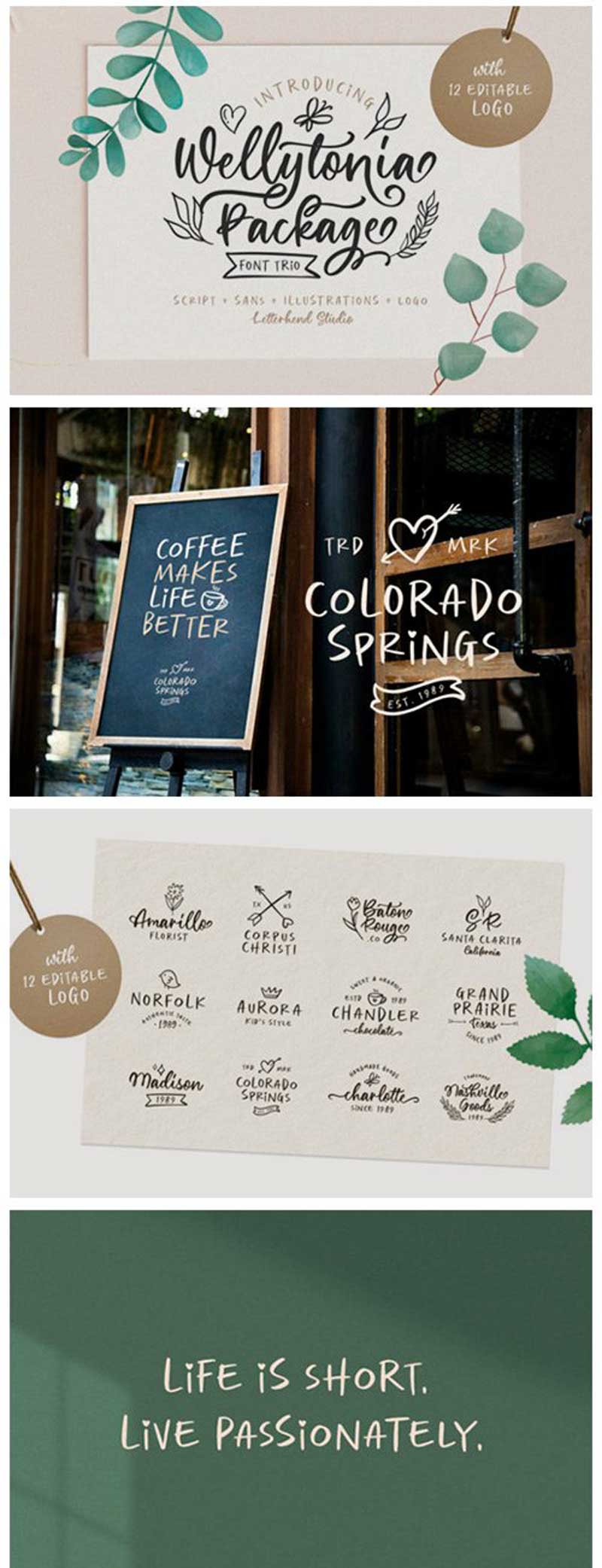 Wellytonia Package Font 2 cgbhdgdfgdfgdg