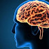 Γνωρίζεις πόσα κιλά ζυγίζει ο εγκέφαλος του ανθρώπου;