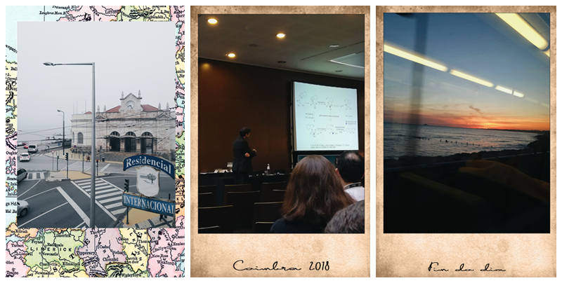 January 2018 photos O blog da mó January 2018 photos