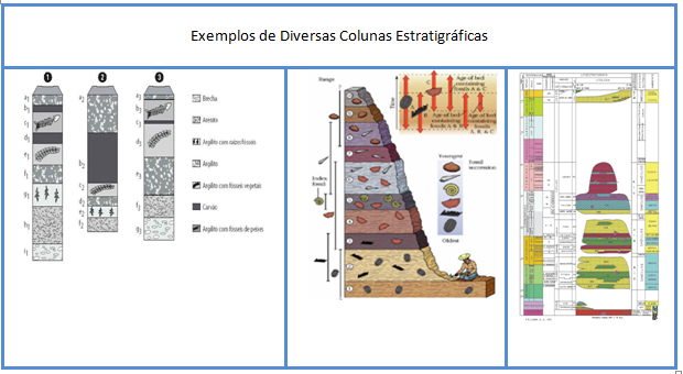 manual-estratigr-fico-coluna-estratigr-fica