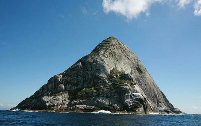 جزيرة الأفاعي الجزيرة الأخطر في العالم جزيرة الأفاعي الجزيرة الأخطر في العالم