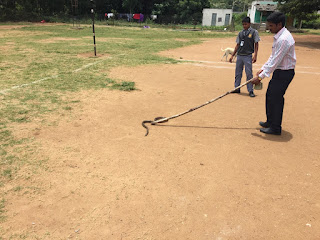 A friendly snake made it's way onto the school grounds