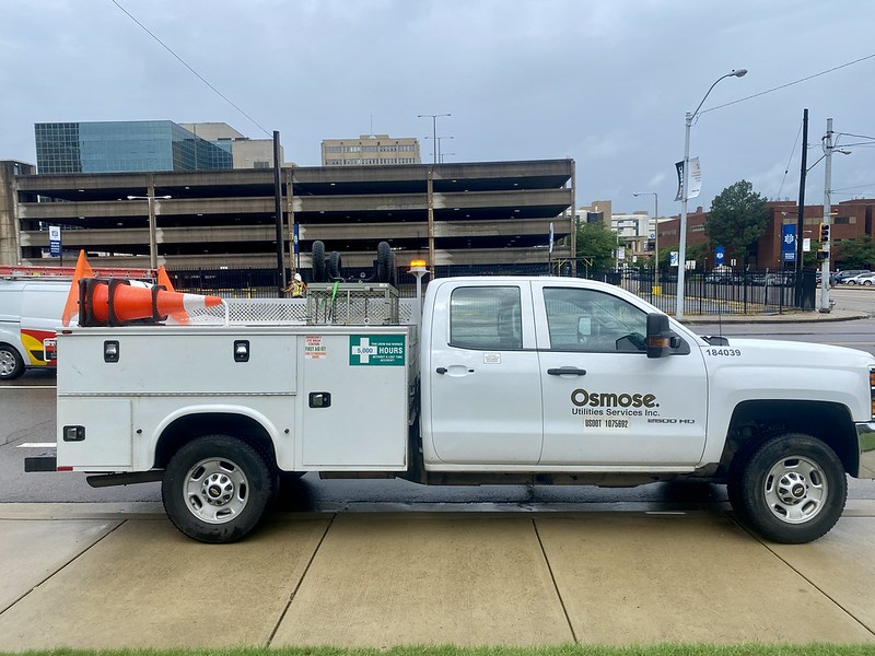 Bird on a Wire Osmose Pole Inspections
