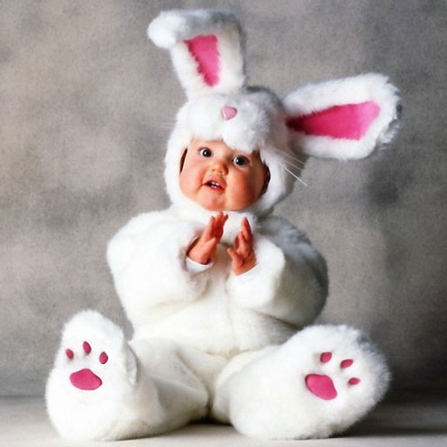 rabbit