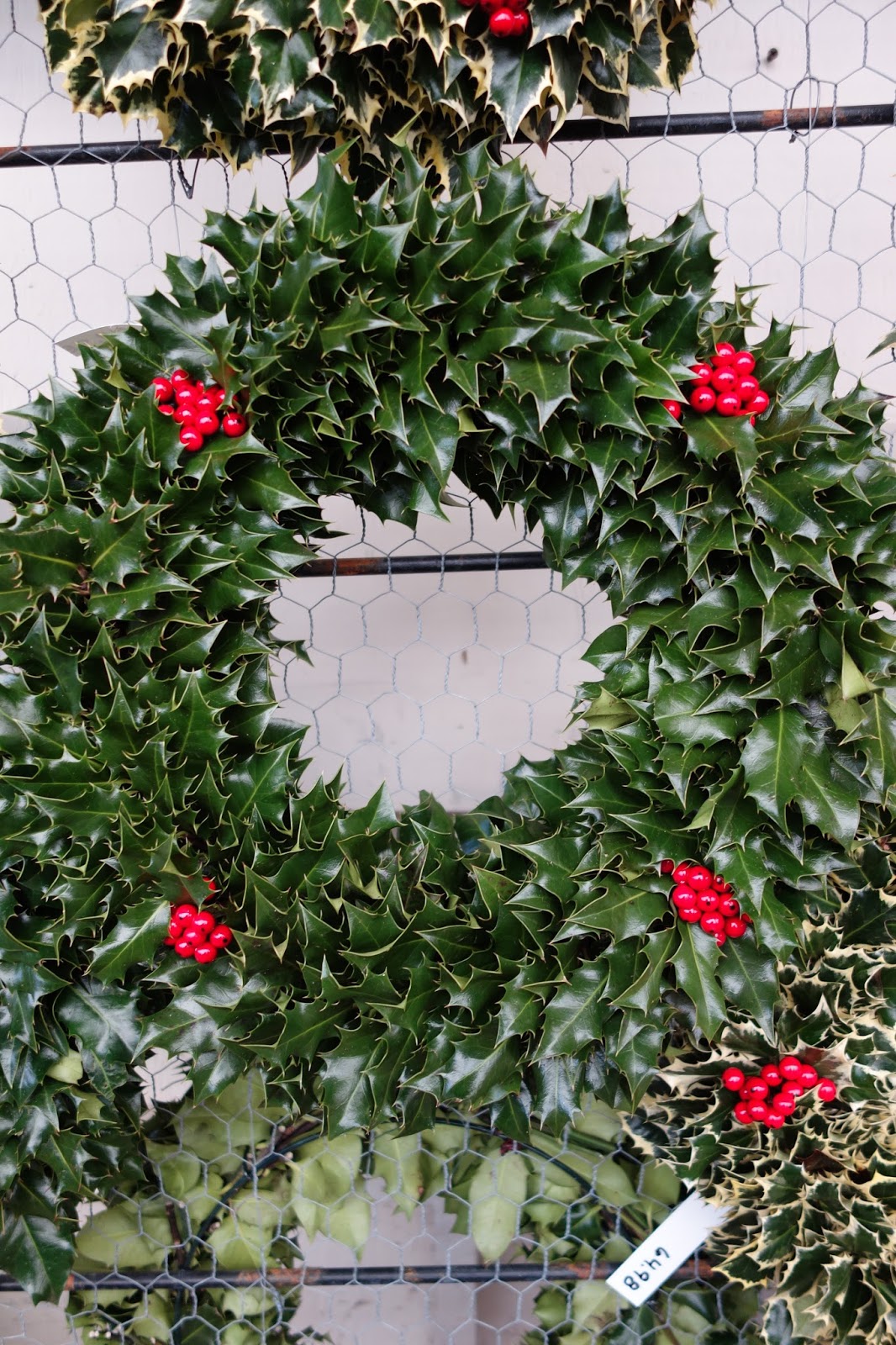 Moments of Delight...Anne Reeves Holly Wreath A Magnificent Holiday