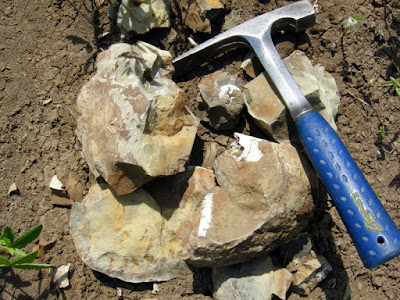 Future Geologist Should Know
