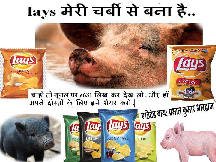 I Like It Lays Chips के पैकेट में जो E631 लिखा है वह दर असल सूअर की
