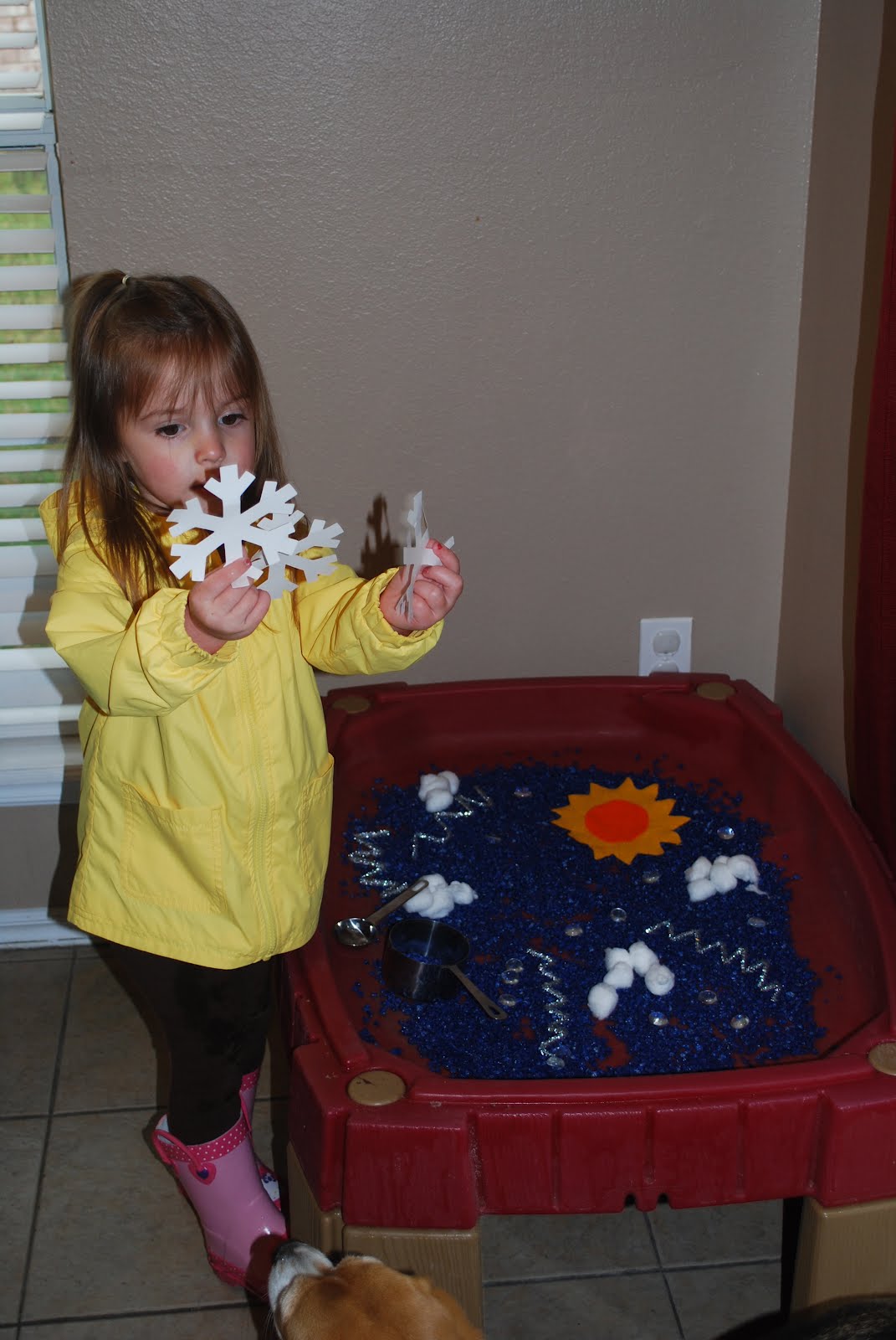 Random Thoughts and Polka Dots: Weather Sensory Table