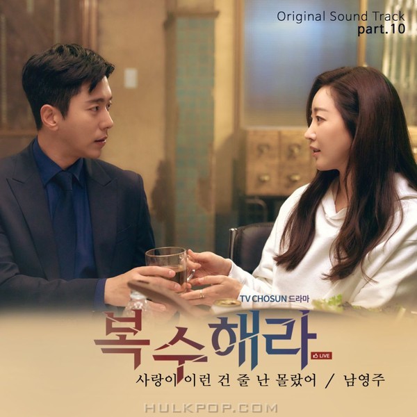 Nam Young Joo – Take Revenge OST Part.10