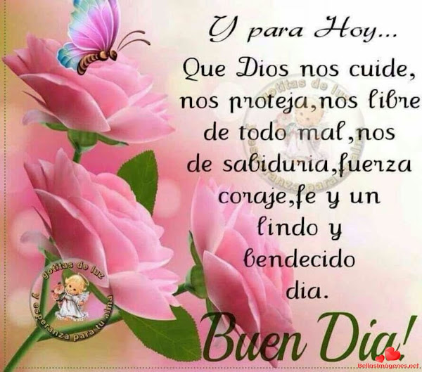 Buenos días con flores 5