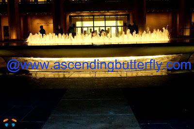 The Art of the Score: Film Week at the Philharmonic Hitchcock!, Fountain lit up at night, New York City