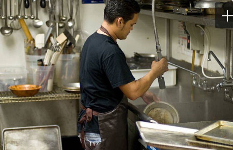Steward Perfil Laboral steward-perfil-laboral