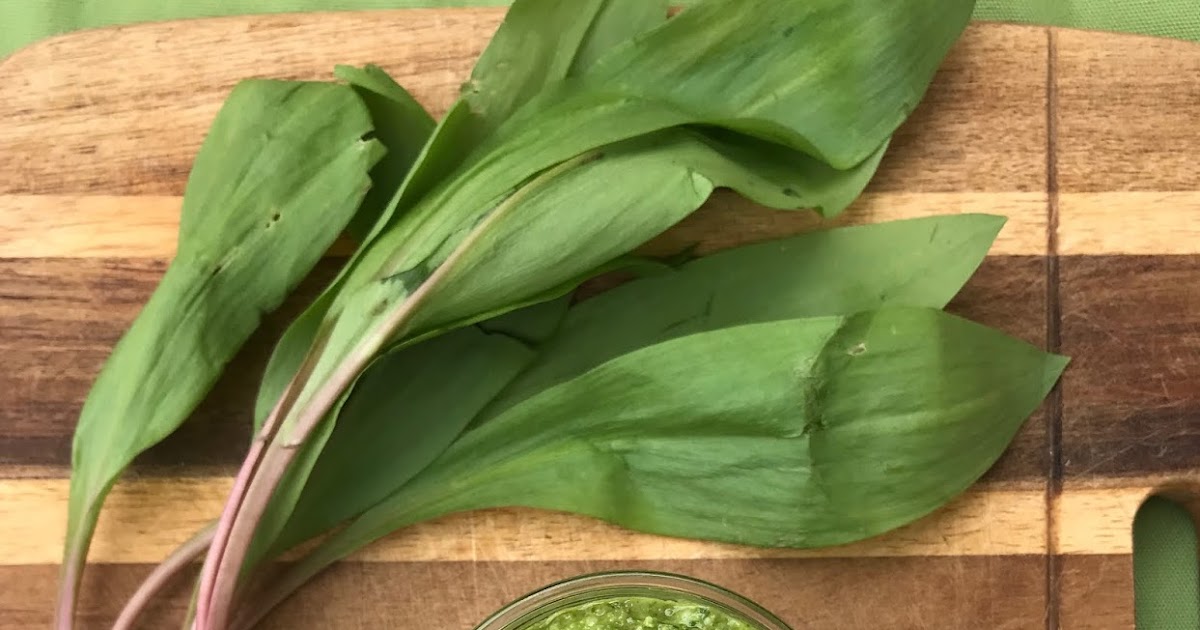 Savory Moments Ramp greens pesto