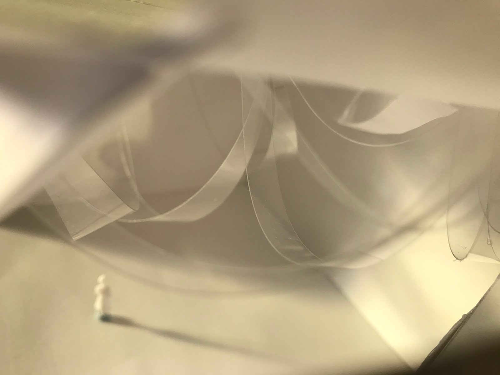 BENV1010 Eleanor Thornton