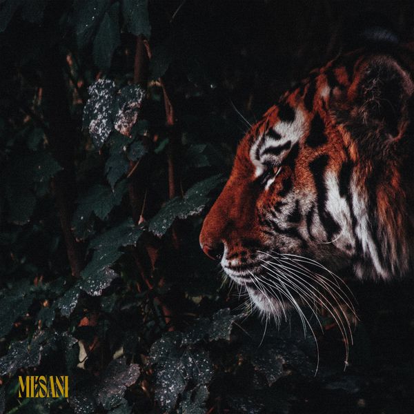 Mesani – Jungle – EP