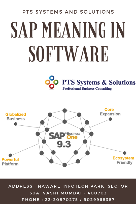 PTS Systems and Solutions What Is The Importance Of SAP In Business???