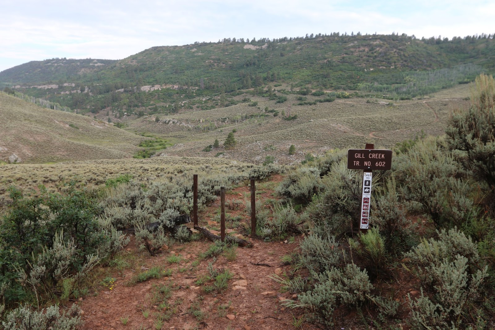 Gill Creek