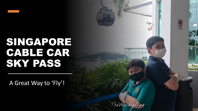 Singapore Cable Car Sky Pass Review :  A Great Way to 'Fly'