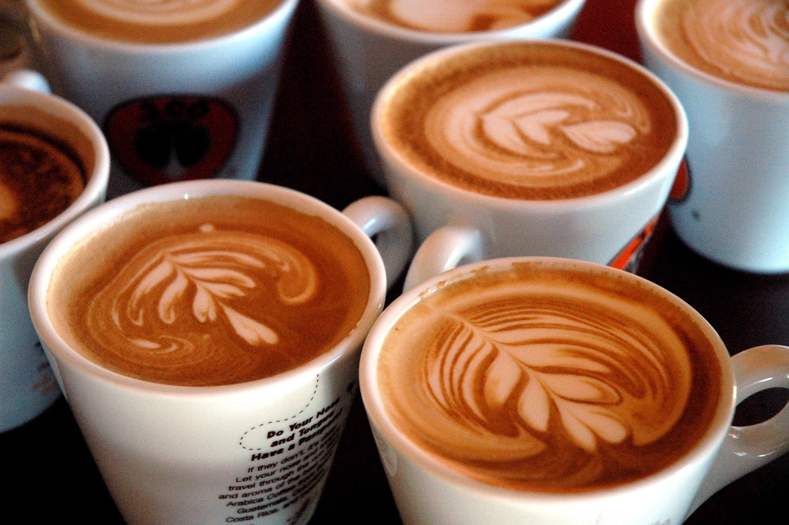 DUDE FOR FOOD Donuts and a Cup of Coffee the J.CO Way at J.CO Donuts