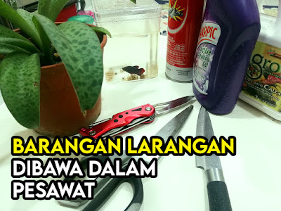 Barang Larangan Dibawa ke Dalam Pesawat