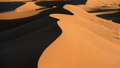 Desert wallpaper, dune, sand, nature