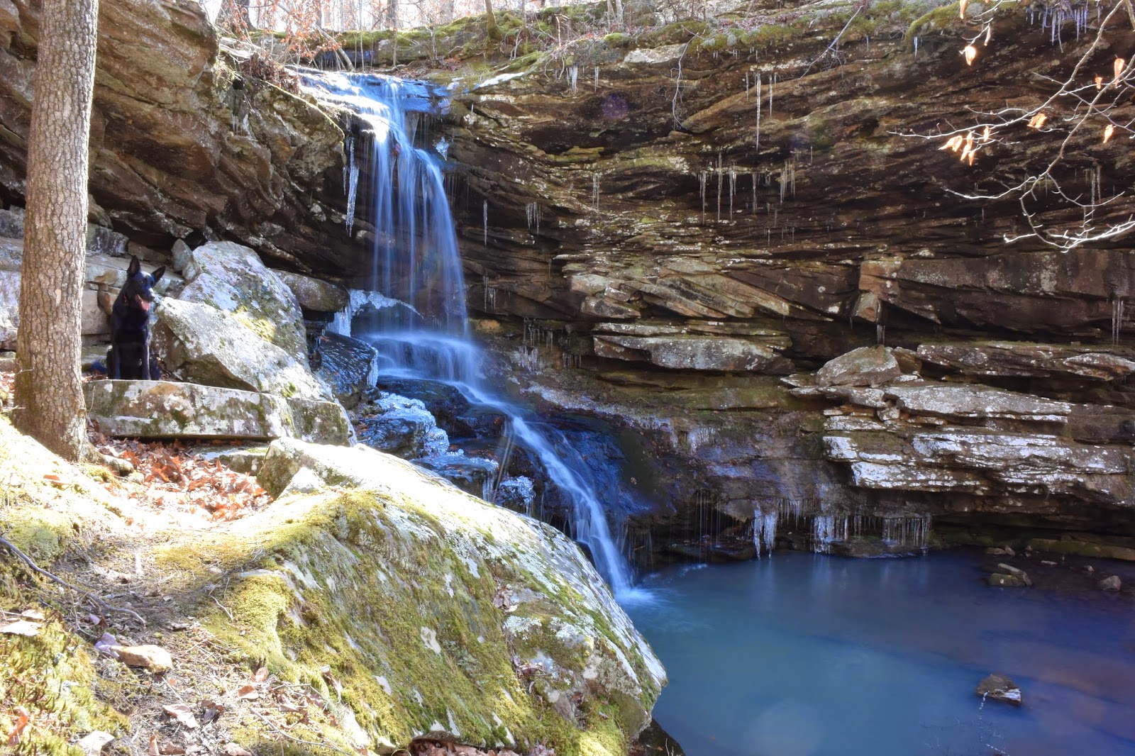 Rick's Hiking Blog Magnolia, Woods Boys, and Stahle Falls, Arkansas Ozarks