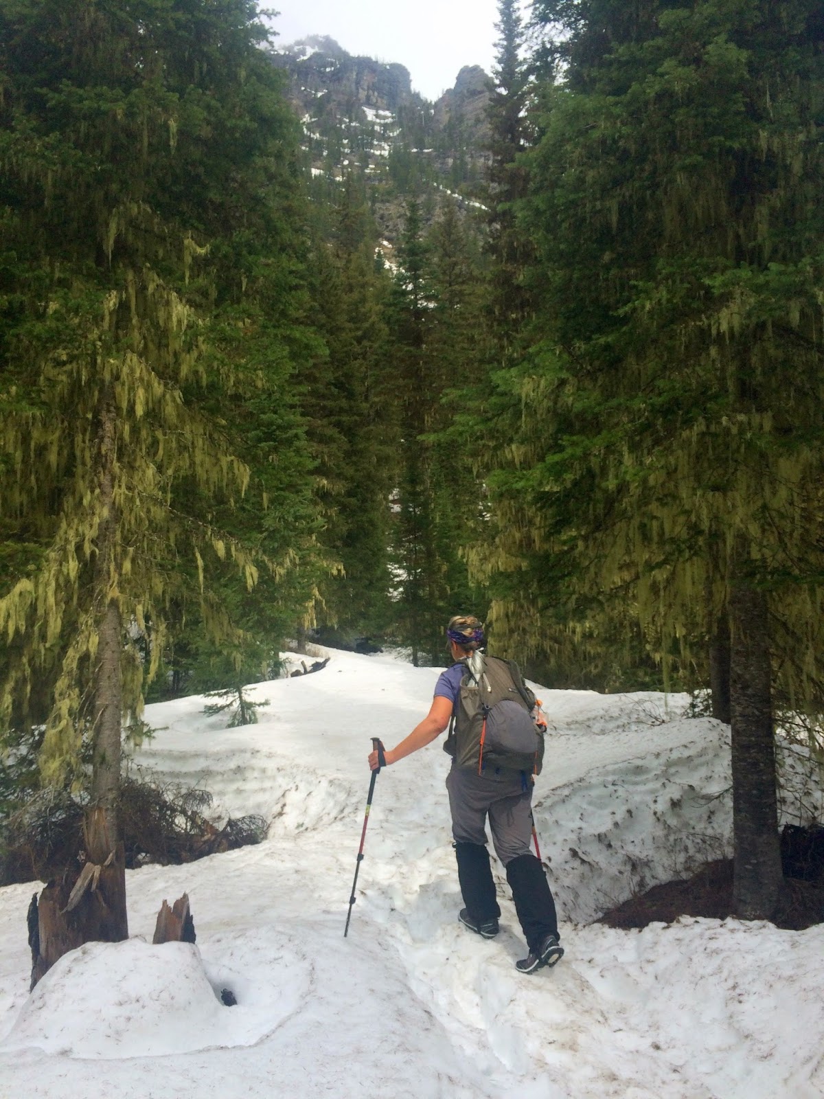 Rambling Hemlock Snyder Lake in Glacier