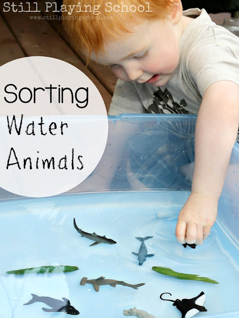 Sorting water and land animals with water play for kids