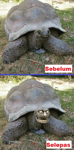 Gambar Topeng Muka Haiwan / PANITIA PSV/DSV SK PARIT KASAN: September