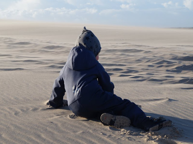 Tipps für einen Tag rund um Skagen. Teil 1: Råbjerg Mile und Grenen. Die Wanderdüne südlich von Skagen ist ein einzigartiges Erlebnis!