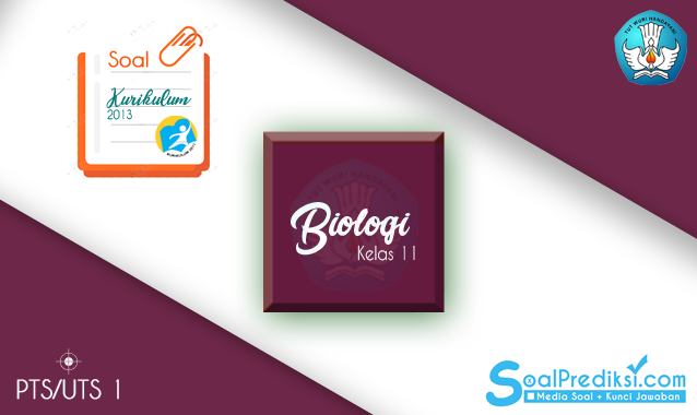 Soal UTS Biologi Kelas 11 SMA Semester 1 Tahun 2021/2022
