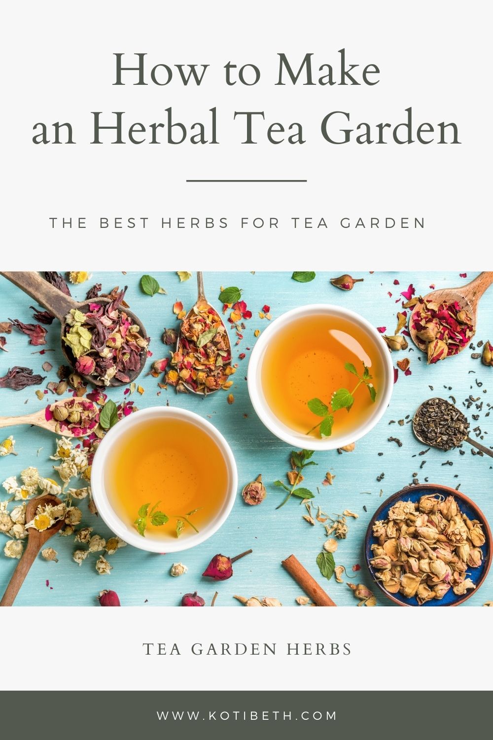 How to Grow Herbs for Tea + List of Herbs for Tea Koti Beth