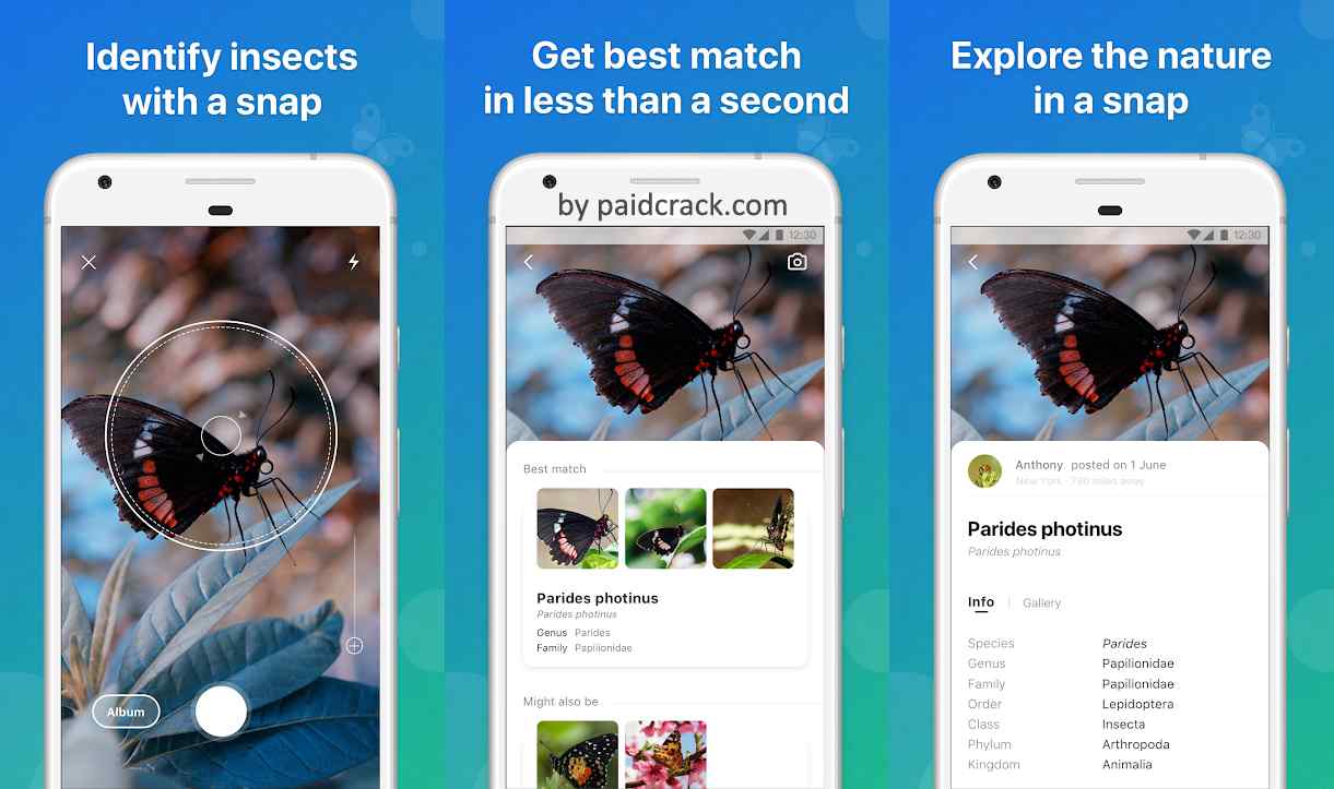 Picture Insect - Bug Identifier Premium Mod Apk 2.0 Picture Insect - Bug Identifier Premium Mod Apk 2.0