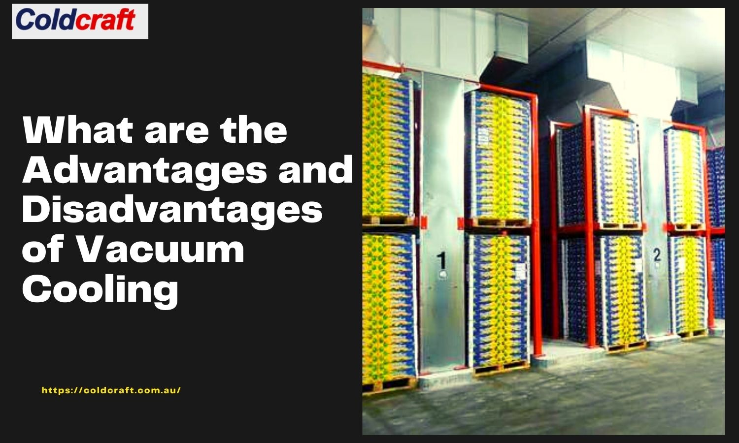 What are the Advantages and Disadvantages of Vacuum Cooling