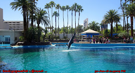 Secret Garden and Dolphin Habitat Las Vegas