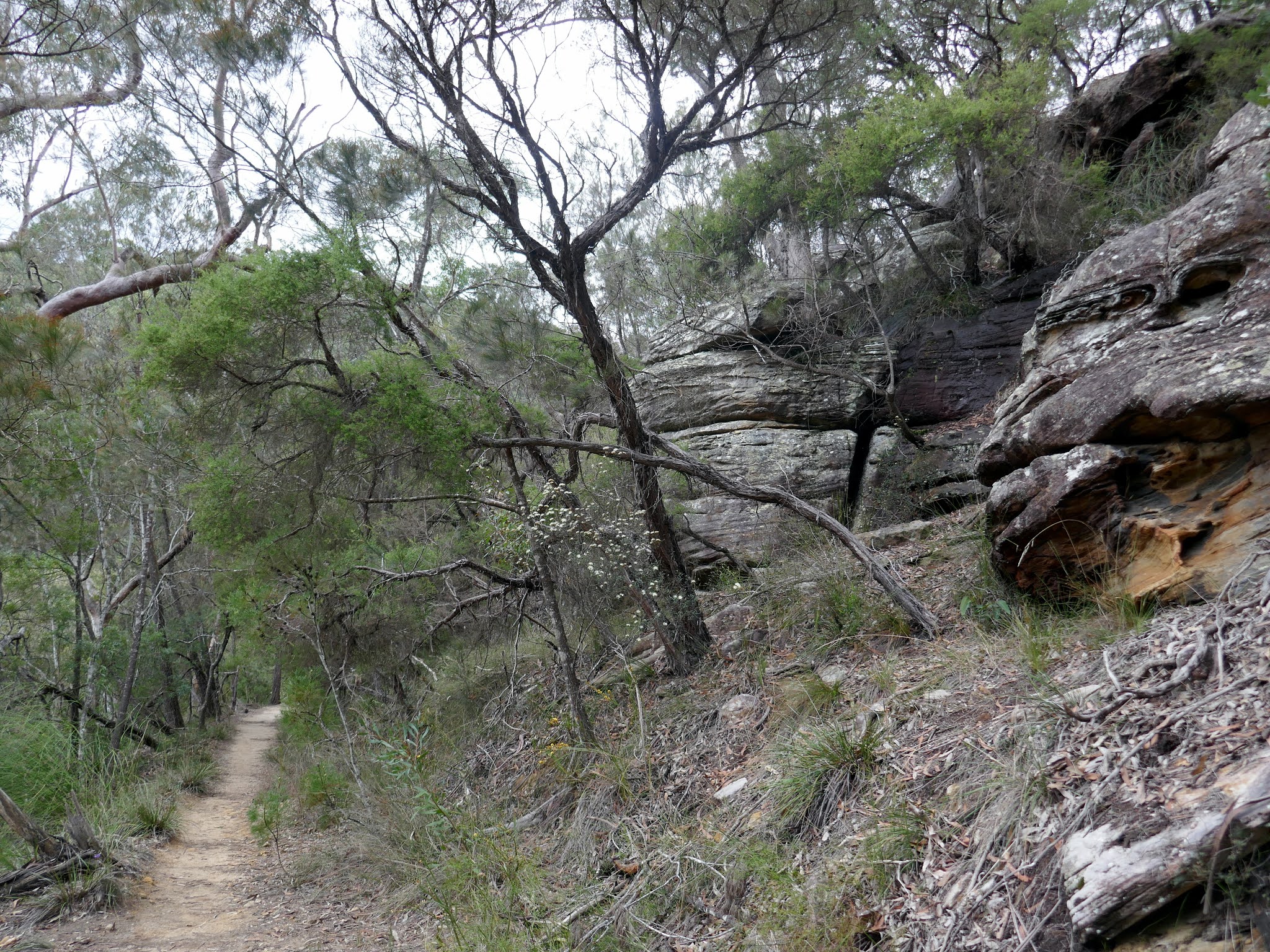 All The Gear But No Idea Cockle Creek & Cowan Water The Gibberagong