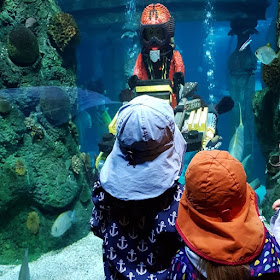 10 Tipps für den Besuch des Legoland Billund mit Kindern. Die Unterwasserwelt von Atlantis hat unsere Kinder fasziniert!