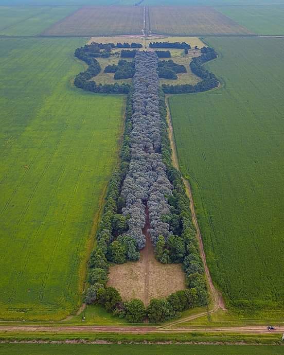 El Templo de las Borracheras Estancia La Guitarra