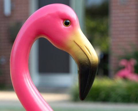 classic pink garden flamingos