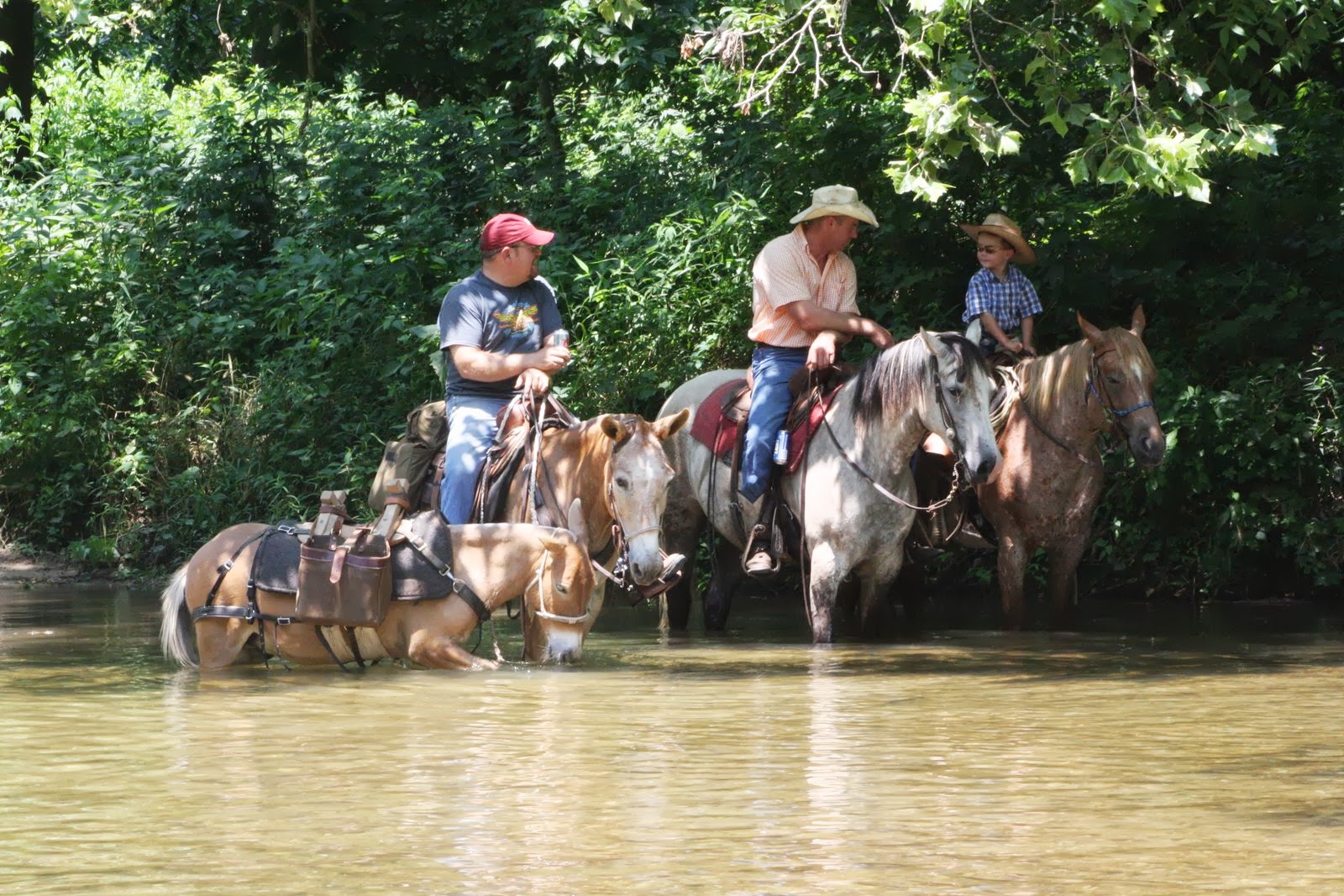 PairADice Mules: Trail Riding in July