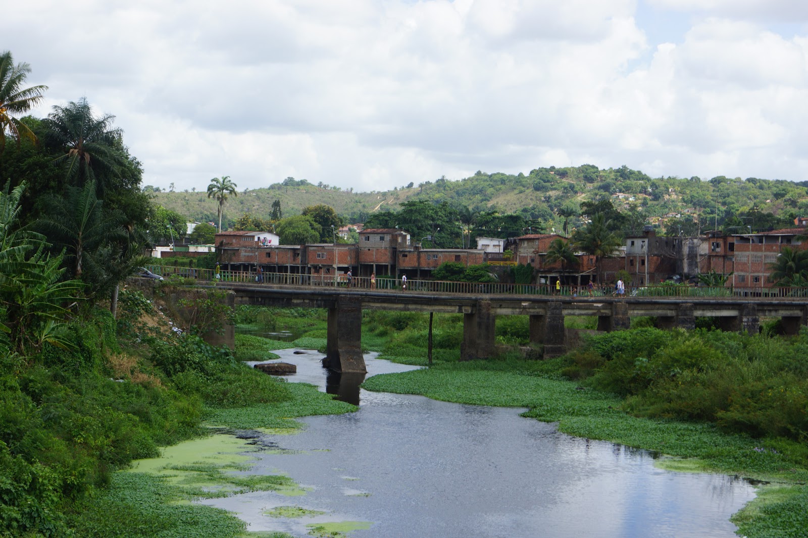 A Cidade e a História São