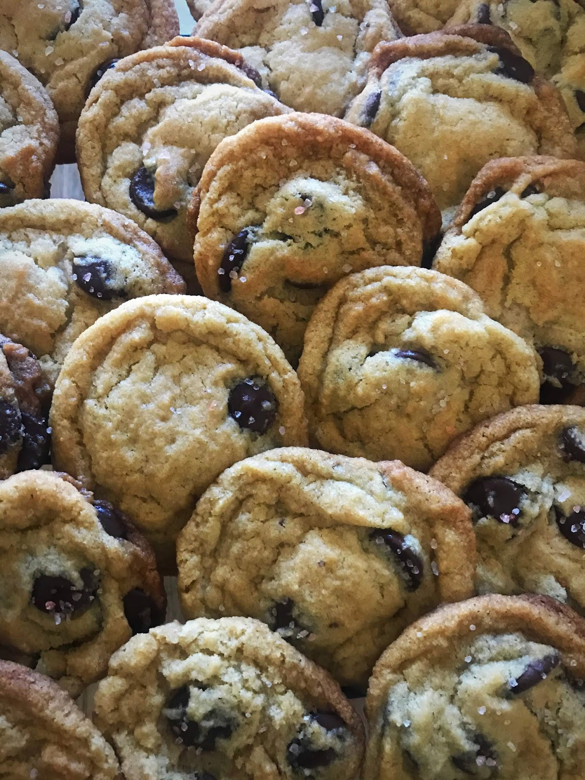 Vegan Chocolate Chip Cookies