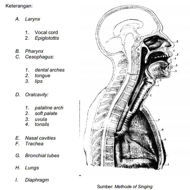 Terapia hormonala - Totul despre acest tratament oncologic