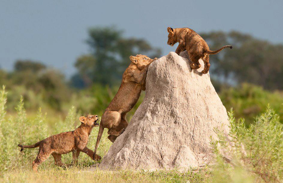 Samsung Mobile Wallpapers: Samsung Tablet HD Wallpaper