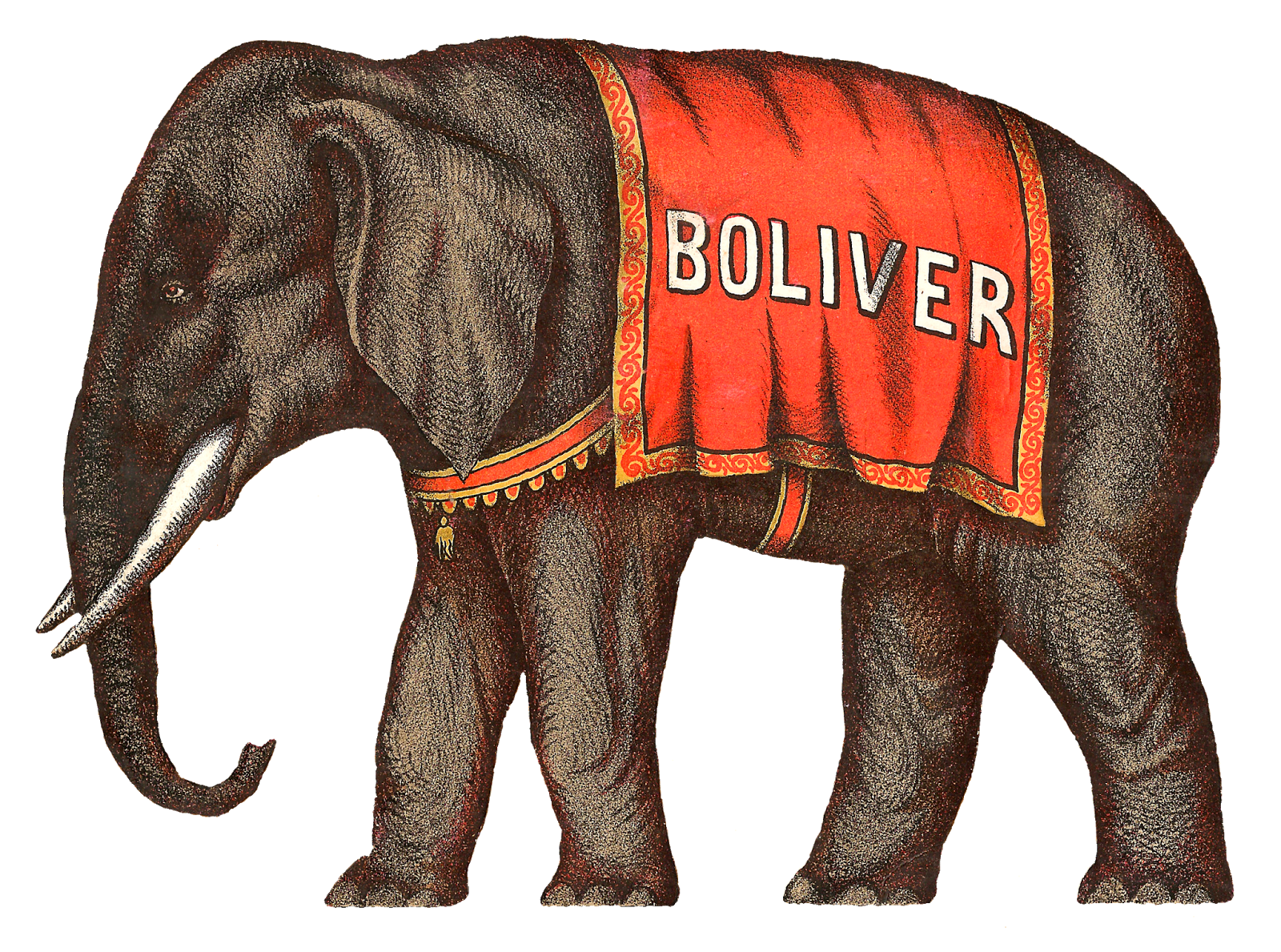 Antique Images: Antique Circus Animals Image Bear Camel Elephant Download